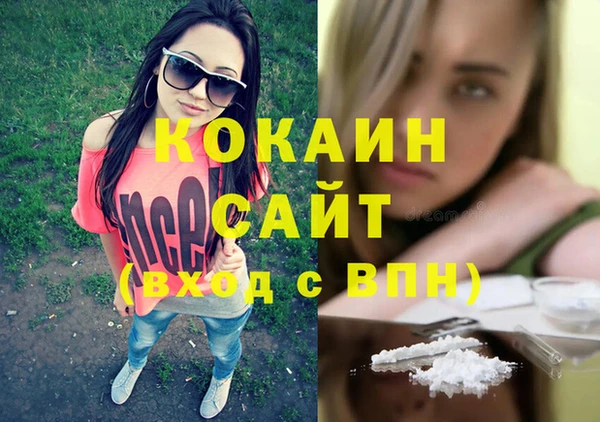 бошки Алексин